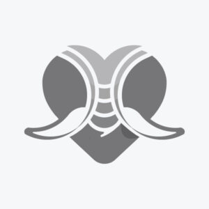 Love and Elephant (Lovely Elephant Logo)